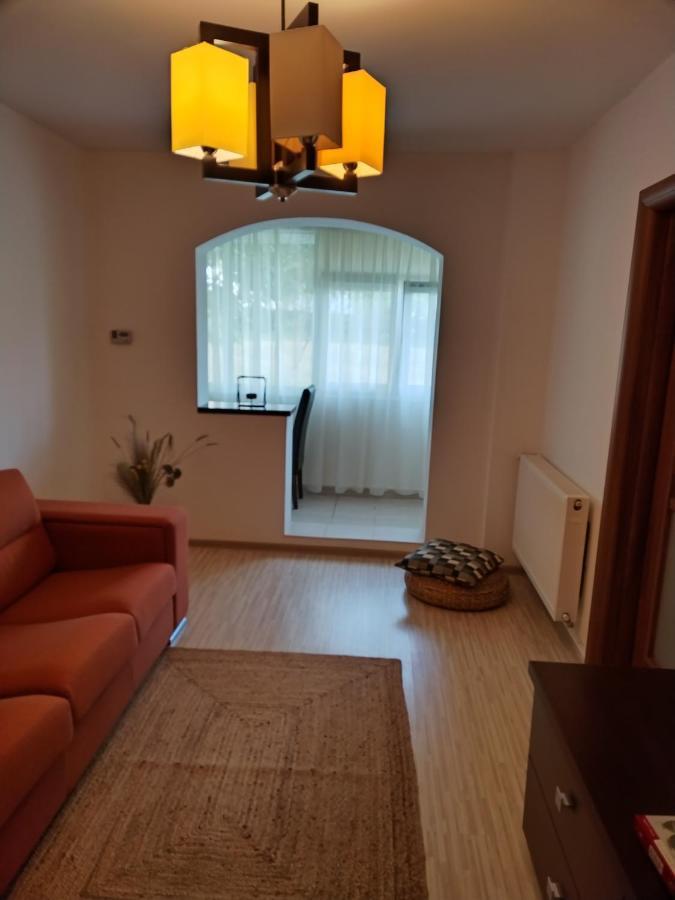 Chic Apartment Piteşti Extérieur photo