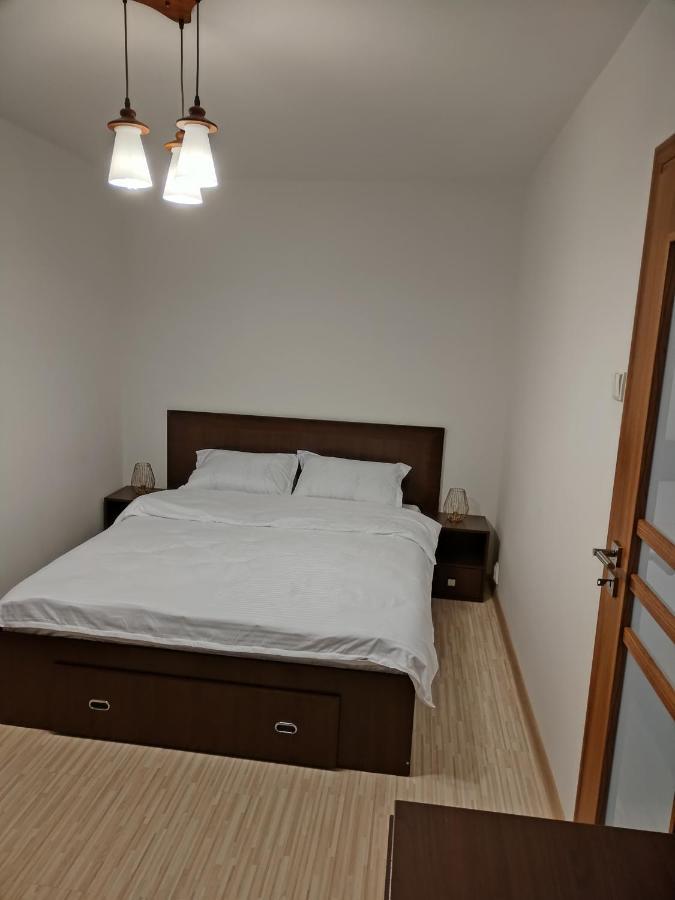 Chic Apartment Piteşti Extérieur photo